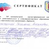 Достижения